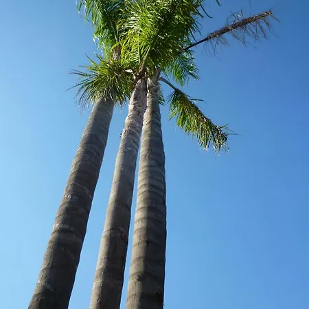 Nova & Apartahotel 3*